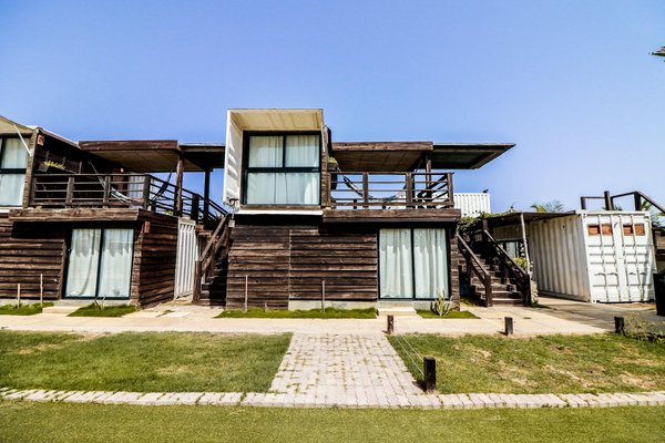 Où pratiquer la plongée avec les requins blancs en Afrique du Sud : lieux et périodes recommandées ?