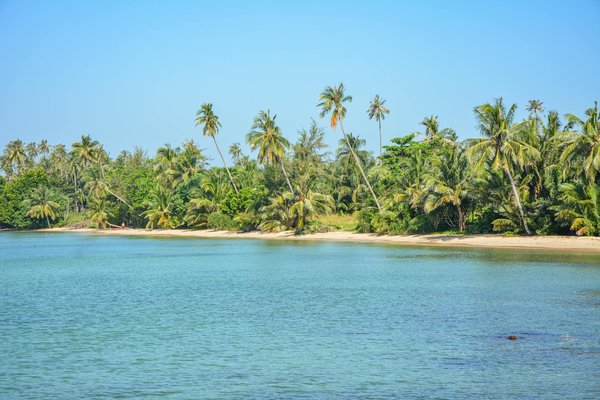 Où participer à des ateliers de broderie traditionnelle en Roumanie?