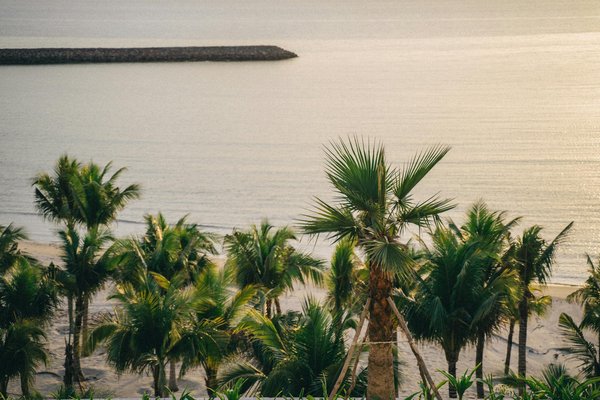 Quels sont les meilleurs conseils pour une croisière de plongée sous-marine en Polynésie française?
